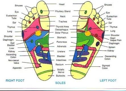 Reflexology foot
