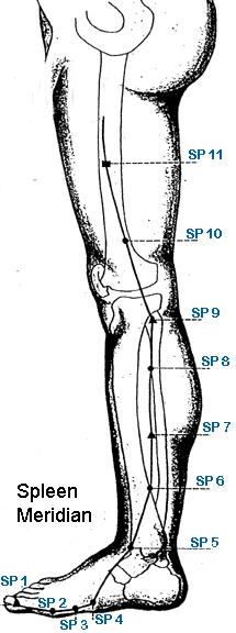 Sp 12 Chong Men Rushing Door the channel, Tonifies Yin Superior to the lateral end of the inguinal groove, on the lateral side of the femoral artery, at the level of the upper border of symphsis
