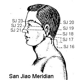 SJ 16 Tian You Posterior and inferior to the mastoid process, on the posterior border of m. sternocleidomastoideus, almost level with Tian rong SI 17, and Tian zhu Ub 10.