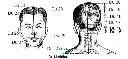 Du 15 Ya Men Gate to Dumbness (muteness) Clears the Mind, Stimulates speech. At the midpoint of the nape. 0.5 cun above the posterior hairline.