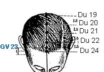 Du 18 Qiang Jian Unyielding Space On the midline of the head, 1.5 cun above Du 17, midway between Du-16 and Du-20. Du 19 Hou Ding Behind the Crown (Posterior Vertex) Calms the Mind 1.