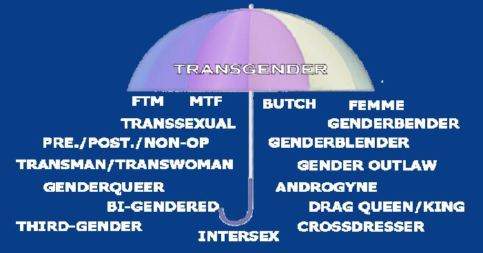 What is transgender?