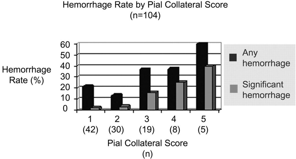 Grades 1-2: Good collaterals. Grades 3-5: Poor collaterals Christoforidis G et al.