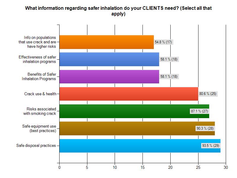 Client needs relating to Safer Inhalation CHART 6 12 An overwhelming majority of NSPs (93.