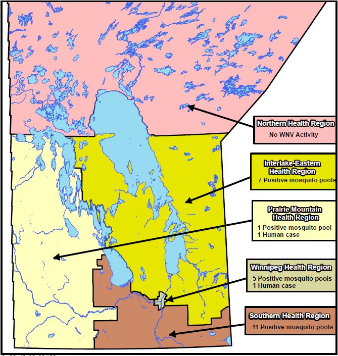 Figure 1 WNV activity by Health Region within Manitoba (current to Week 36).