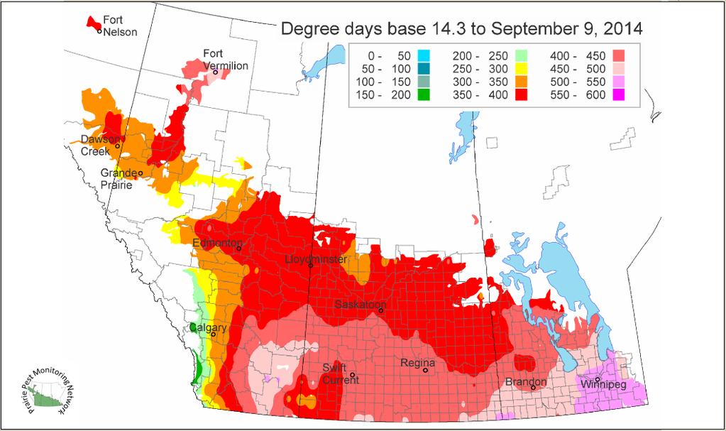 Source: Map produced courtesy of Agriculture and Agri-Food Canada. Figure 3 - Degree day accumulations, as of Week 36, across the Prairie Provinces.