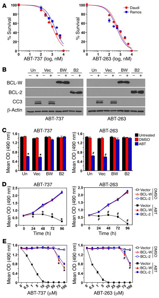 Figure 8. Increased expression of BCL-W confers resistance to BL cells to BH3 mimetics.