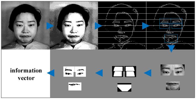 5. Select the zone with the highest pixel density. This zone contains the eyes and the eyebrows. 6. Locate the eyes and eyebrows. 7. Locate the mouth in the center of the zone.