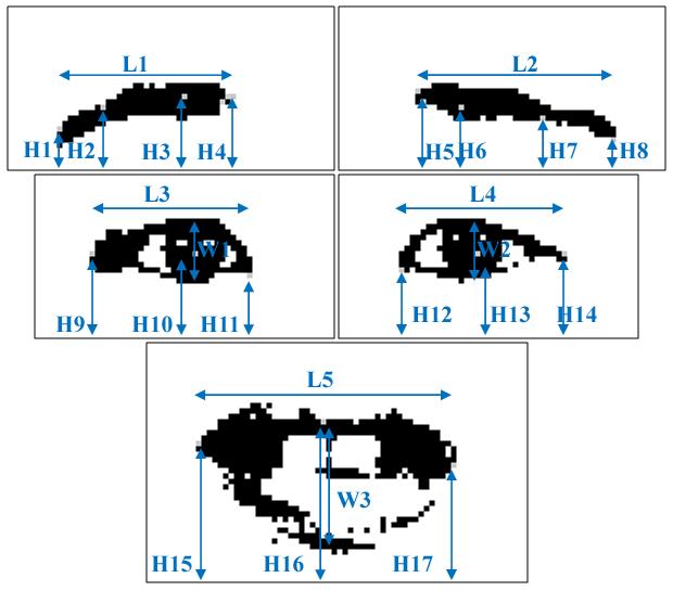 is 25. The information vector contains all the information needed to classify a face into each of the seven basic facial emotional states. 3.3 Neural Network Classification Fig. 3. Features extracted from each AOI.