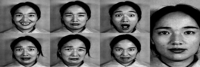 basic facial expressions and 1 neural expression) as posed of a JAFFE model are illustrated in Figure 4 Fig. 4. The seven facial expressions as posed by a JAFEE model.