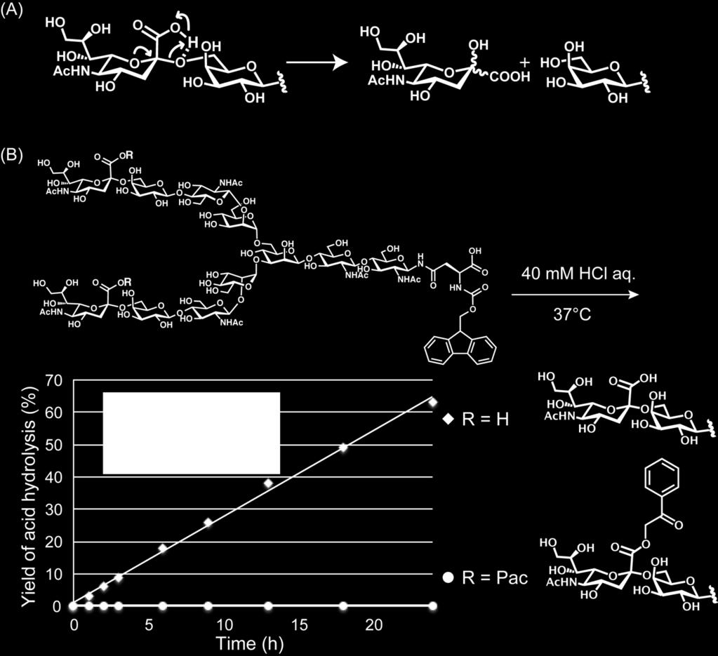 (B) Hydrolysis yield of sialyl linkage under acid condition (40 mm HCl) and the structure of released sialic acid (1).