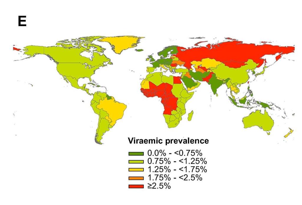 Global Distribution of HCV Estimated and reported HCV viremic disease Highest in West Africa, Egypt, Russia, and parts of Central Asia and Eastern Europe Data quality is poor