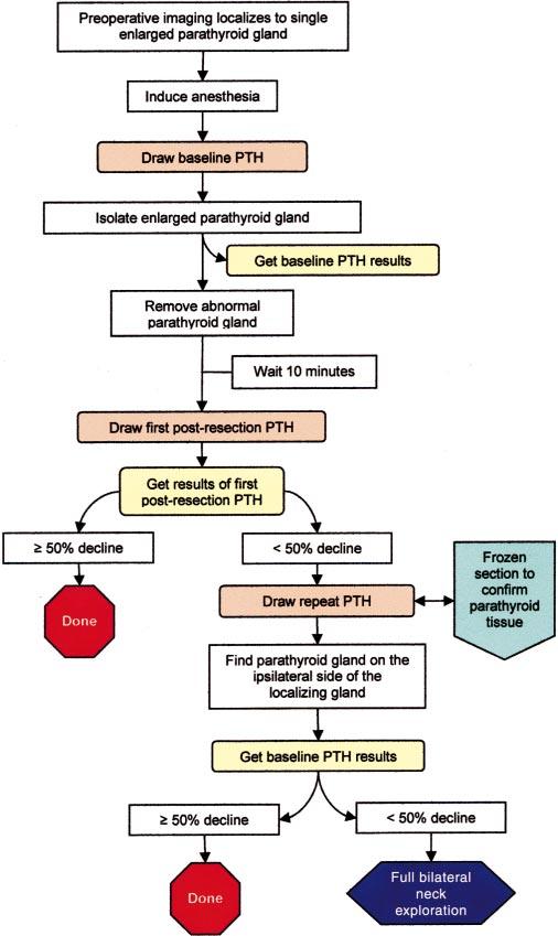 Figure 2. Algorithm of minimally invasive parathyroidectomy using rapid intraoperative parathyroid hormone (PTH) in conjunction with preoperative imaging and frozen section.