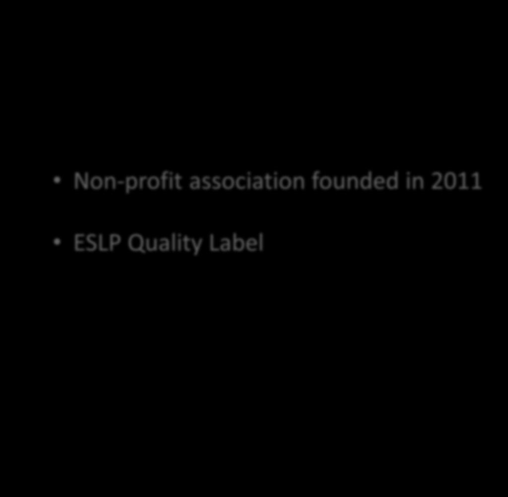 Non-profit association