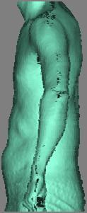 All data were collected with help of Human Solutions ANTHROSCAN solution consisting of 3-D body scan hardware and software to process and collect addition information for each subject.