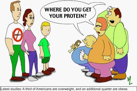 PROTEIN Proteins Nutrients that contain as well as carbon, hydrogen, oxygen and nitrogen