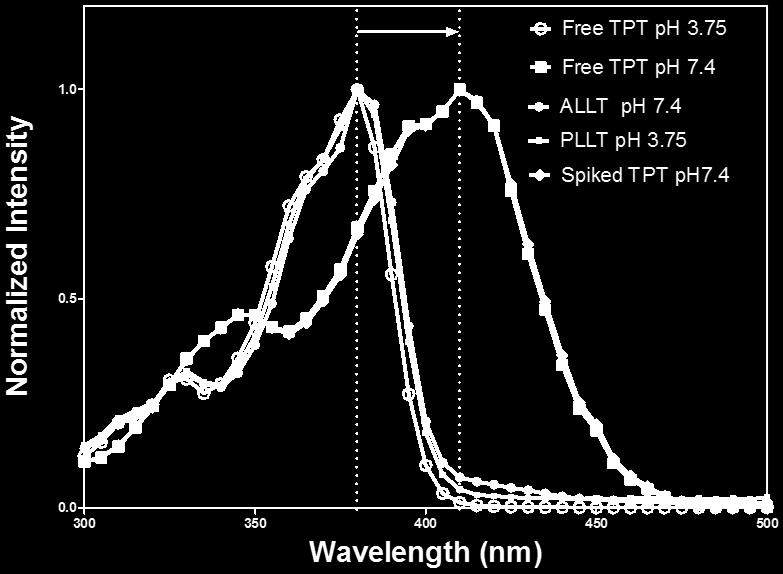 4 buffer have identical spectra, indicating an acidic intraliposomal ph within ALLT.. At ph 7.4, spectra of free TPT solutions and suspensions of blank liposomes spiked with free TPT (i.e., spiked TPT ph 7.