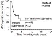 the immune system n= 26 pts with MCC 20 p63+ 6 p63- NO ASSSOCIATION Advanced patient age and male sex associate