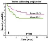 Distant metastases Tumor size (and extent of