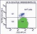The protocol for quantification and phenotypic characterization of NKT cells was standardized using specific markers of NKT cells such as CD3, CD4, V alpha 24, V beta 11, IFN γ, and CD107a expression.