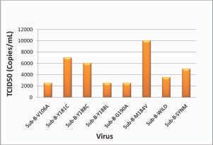 Previously in the last year, a panel of 12 Non Nucleoside Reverse Transcriptase Inhibitor (NNRTI) drug resistant viruses harboring single mutations was generated and assessed for
