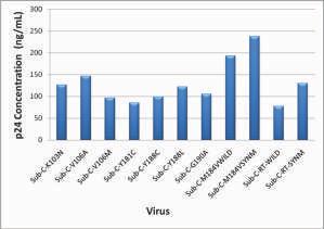 During 2014-2015:Fresh virus stocks were generated for the 8 subtype B clones and 11 Indian subtype C clones, additionally p24 antigen quantification as well as TCID50 titers of