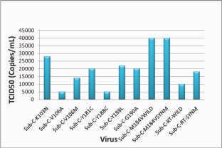 24: TCID50 Titers of HIV-1 subtype B virus stocks. Figure 3.25: p24 antigen quantification of HIV-1 Indian Subtype C virus stocks Figure 3.