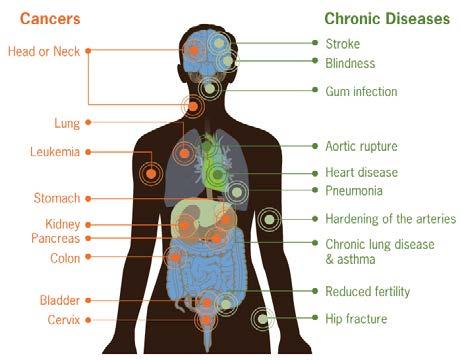 UNDERSTANDING YOUR RISK CDC, 2010 Did yu knw that cigarette smke cntains mre than 7,000 chemicals and chemical cmpunds that reach yur lungs every time yu inhale?