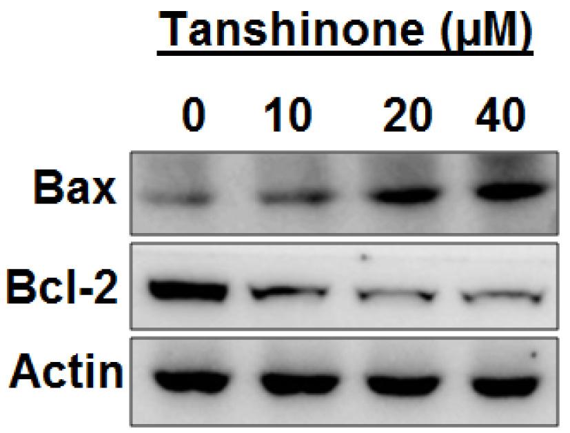 apoptotic cell population (Figure 4). The apoptotic cells increased from 0.8% in the control to 45.62% at 40 µm tanshinone I concentration.
