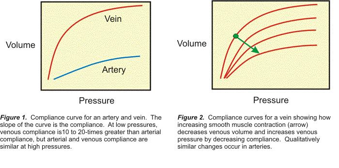 Page 7 of 8 2401 : Anatomy/Physiology When the heart ejects its blood, it creates a flow and a pressure.