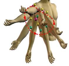 neck joint (when heading a football) Second class the resistance (load) is between the fulcrum (pivot) and the effort e.g. ankle (when raising onto toes to reach for a shot) Third class the effort is between the fulcrum (pivot) and resistance (load) e.