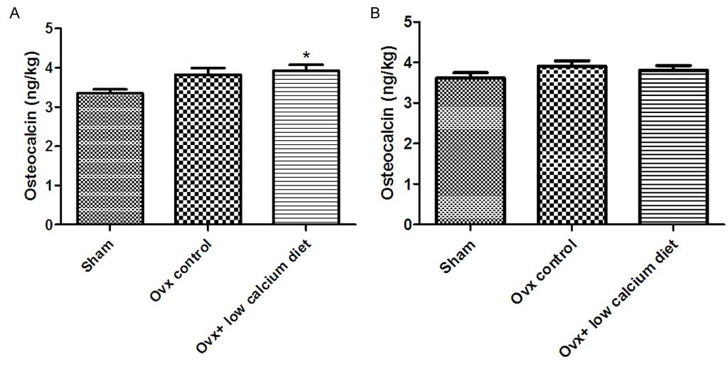 Figure 1. Effects of a low calcium diet on serum osteocalcin concentrations in Ovx rats. A. Serum osteocalcin concentrations at 4 weeks after ovariectomy. B.
