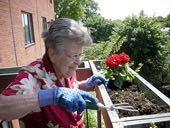 Alzheimer s Disease & Dementia Provide wander gardens & horticulture therapy 10.