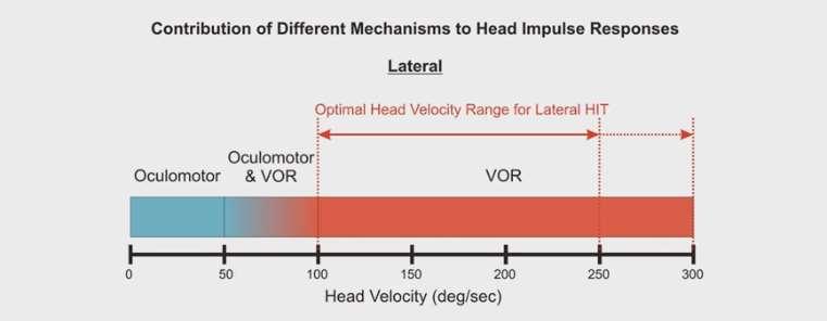 Relationship of Oculomotor and VOR at different frequencies of head movement Gain of VOR is = Velocity of eye movement Velocity of head movement X 100 Head impulse responses for head velocities below