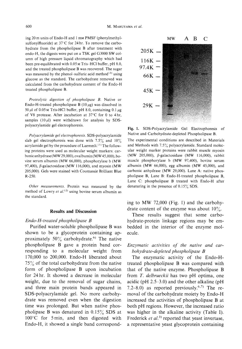600 M. Maruyama et al. ing 20m units ofendo-h and 1 mmpmsf(phenylmethylsulfonylfluoride) at 37 C for 24hr.