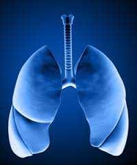 Reducing Hospital Readmissions for Chronic Obstructive Pulmonary Disease (COPD) Jin S.