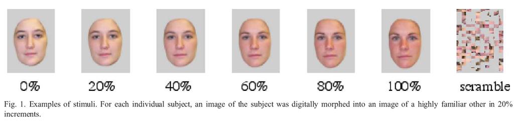 fmri Study of Self-Recognition