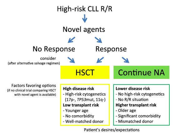 Managing high-risk CLL Stem cell transplantation or novel