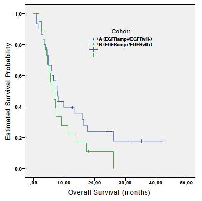 Overall Survival Cohort A -Median OS: 7.