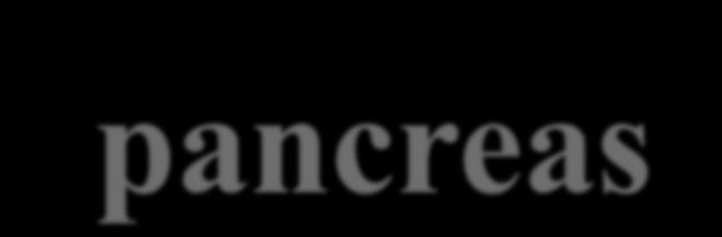Adenocarcinoma of the pancreas SEMINARS IN DIAGNOSTIC PATHOLOGY 31 (2014) 443 451 Ralph H.
