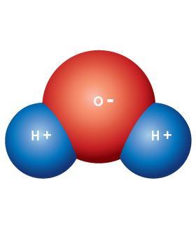 With 8 protons in its nucleus, an oxygen atom has a much stronger attraction for electrons than does a hydrogen atom with its single