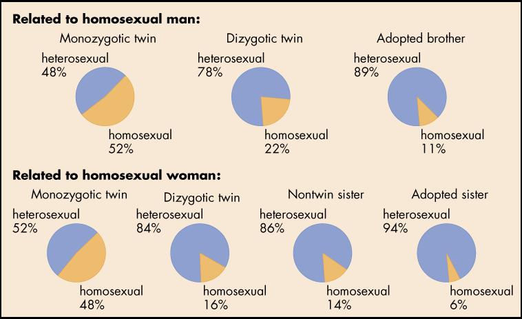Sexual orientations in adult relatives of a homosexual 27 The probability of a homosexual orientation is highest among monozygotic twins of