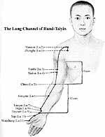 Lung Channel of Hand-Taiyin Lung Meridian There are 11 acupuncture points on each side of the body belonging to this meridian.