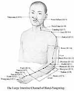 Metal 3am - 5am Lungs (yin) Large Intestine Channel of Hand-Yangming Large Intestine Meridian There are 20 bilateral points on this meridian.
