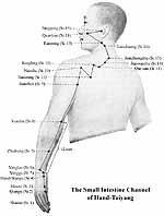 Fire 11am - 1pm Heart (yin) Small Intestine Channel of the Hand-Taiyang Small Intestine Meridian This meridian has 19 bilateral points.
