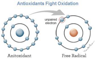 ONYX Multiple ORAC Test Results (ORAC = Oxygen Radical Absorbance Capacity)