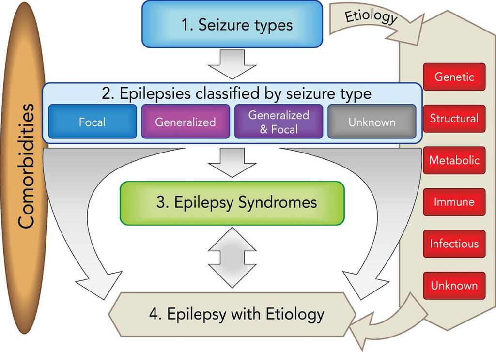Framework for epilepsy