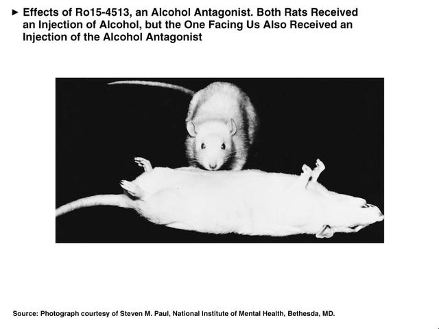 GABAergic Drugs Agonists Benzodiazepines Barbiturates Ethyl alcohol (ETOH) Ro15-4513, a GABA a antagonist