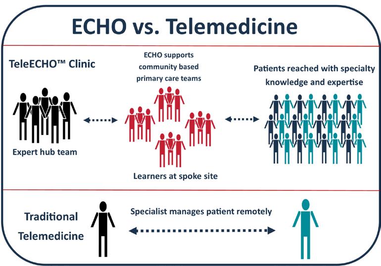 components of all teleecho clinic: 1. Brief didactic presentation 2. Case-based learning ( pt.