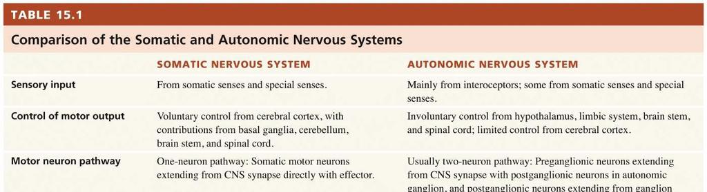 Comparison of Somatic and Autonomic Nervous Systems Each division of the autonomic nervous system has two motor